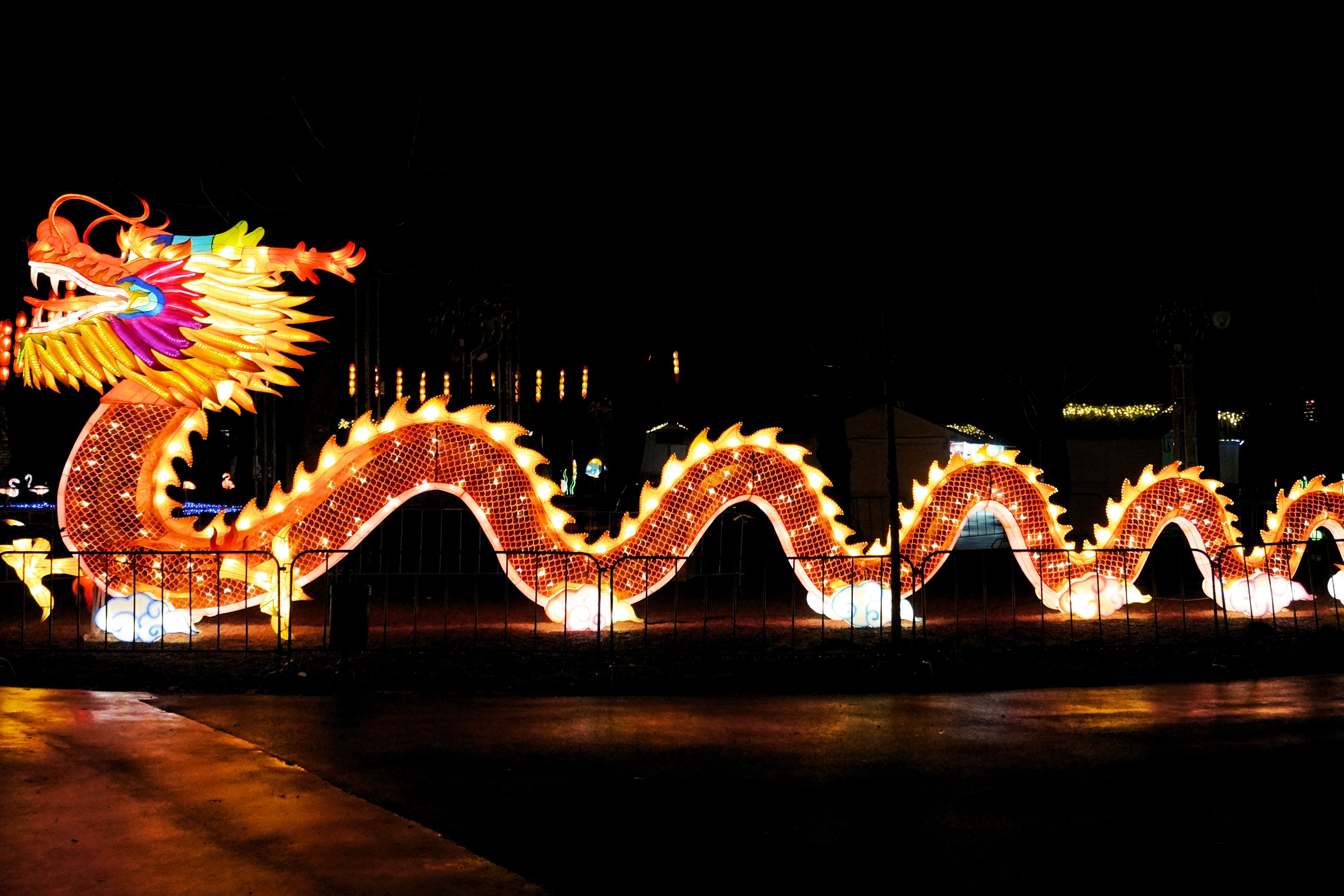 Célébrons le Nouvel An Chinois